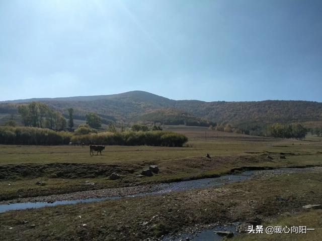 寒假旅游胜地国内-寒假国内旅游推荐