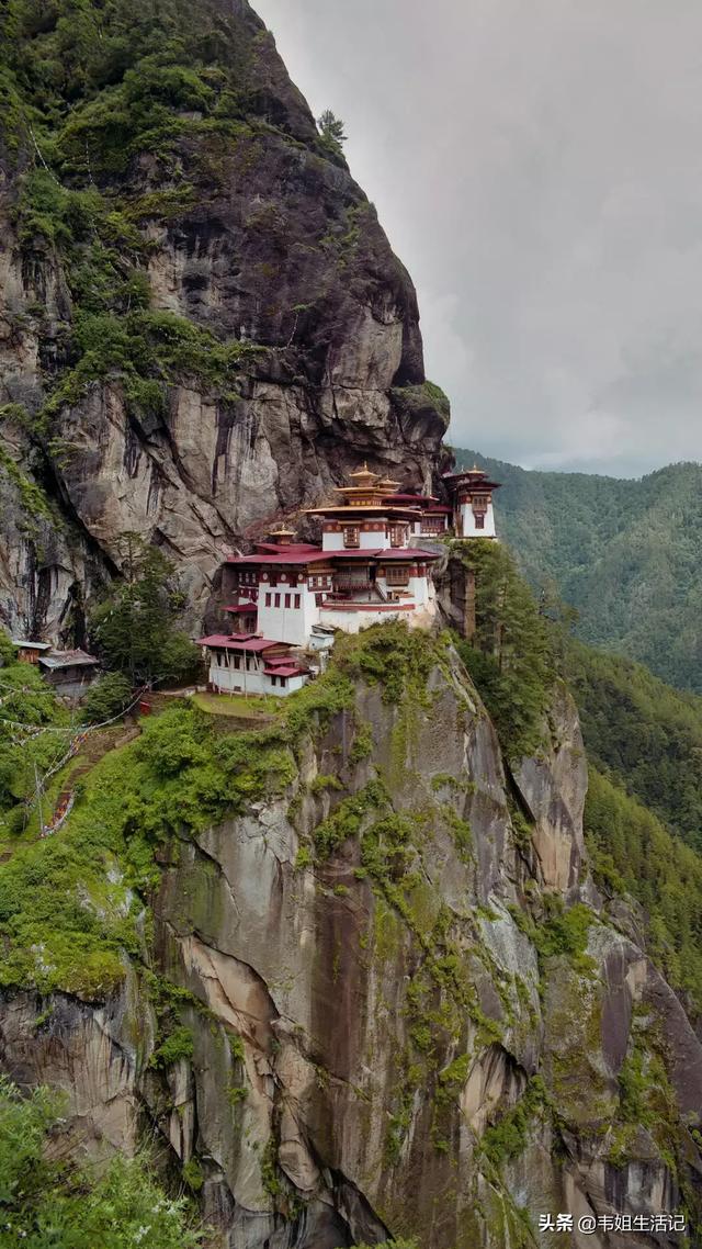 如何在家做一个生态鱼缸？：简易生态景观设计