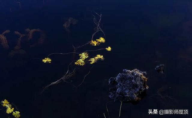 春夏秋冬四季描写动物的句子,喜欢春夏秋冬的优美句子