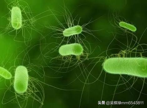 硬痘痘怎么消除挤不动(图7)