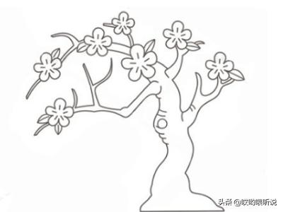 花朵简笔画教程,花朵简笔画教程视频