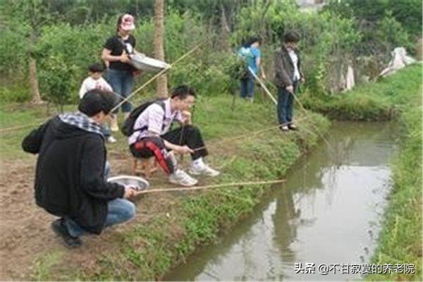 海外生活钓龙虾视频大全，海外生活钓龙虾视频大全下载