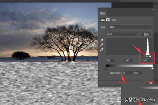 ps倒影ps倒影效果怎么做倒影
