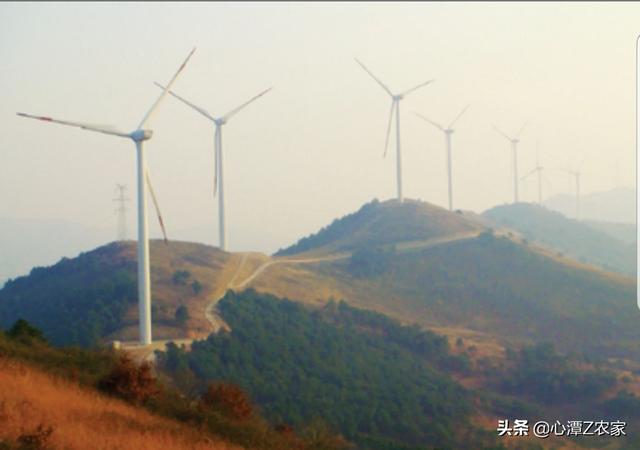 合肥海外生活怎么去，合肥国外回来人员隔离政策