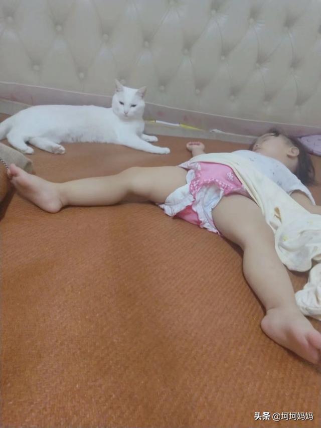 寵物與嬰兒?寵物與嬰兒故事!