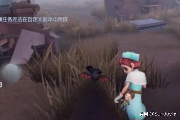 第五人格地窖怎么打开 第五人格地窖怎么打开逃脱-第11张图片-随然AIR主题