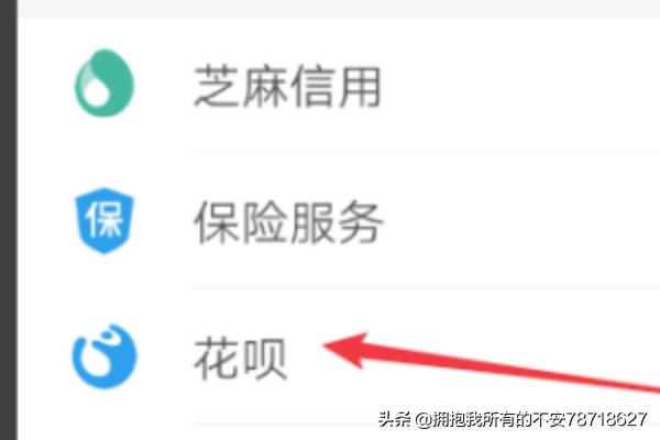 [花呗怎么还钱]花呗怎么还京东白条的钱？