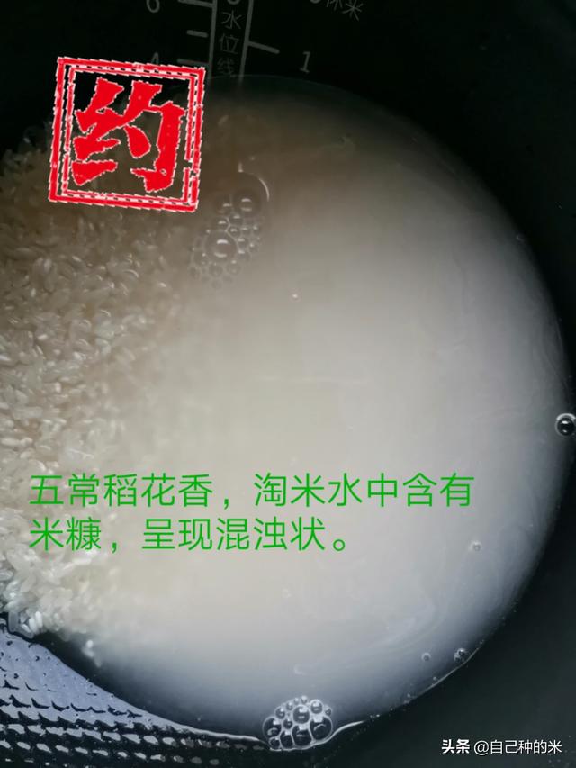 五常大米粮食价格，五常大米粮食价格表