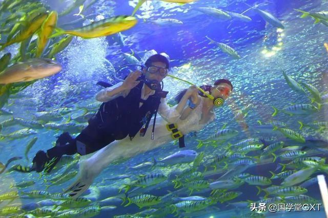 两个世界2ps3 两个世界2好玩吗-第5张图片-随然AIR主题