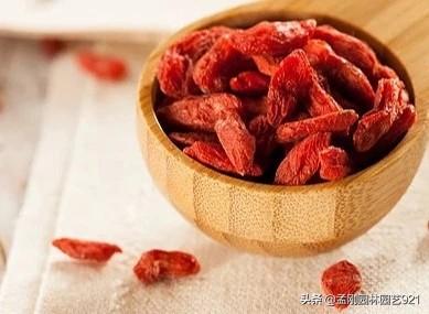 果园农场app开发