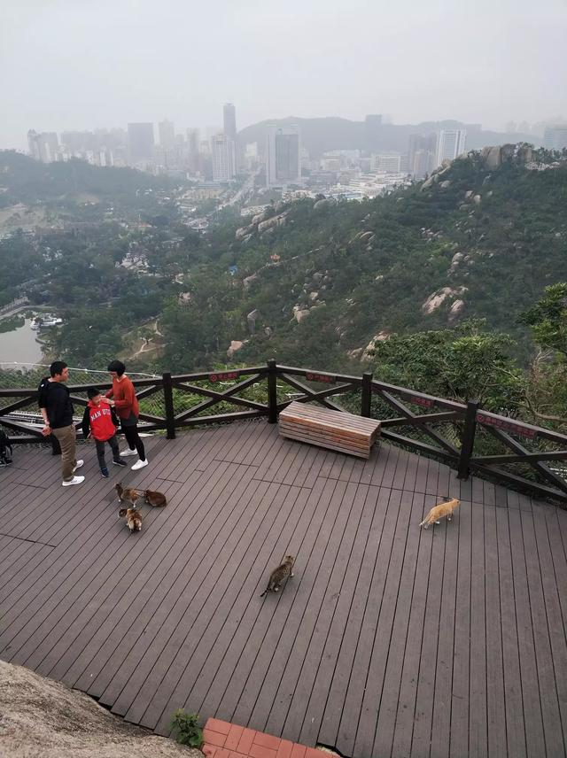 珠海市区有什么好玩的旅游景点？：珠海都有什么好玩的地方