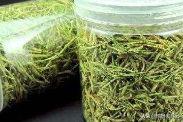 自制金银花怎么吃最好(图4)