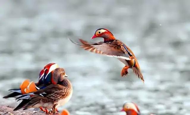 快门优先（快门优先、光圈优先和P这三个档是在哪种场合比较合适？）