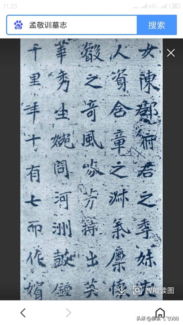 字体草书