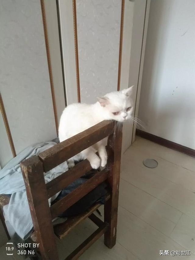 庄家发行股票除了融资，可以赚钱吗？还有什么其它的好处