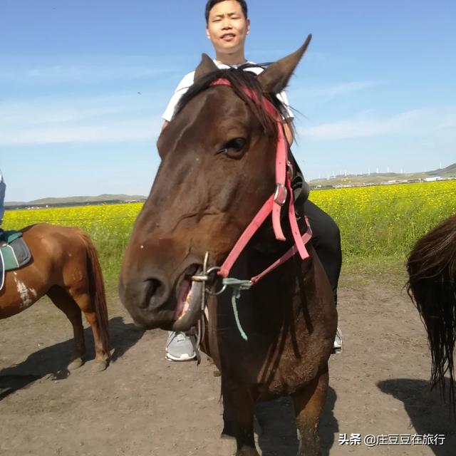 丰宁骑马旅游穿搭， 丰宁骑马旅游穿搭店
