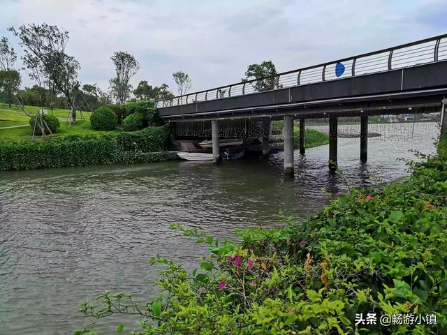 顺德旅游-顺德旅游攻略必去景点推荐