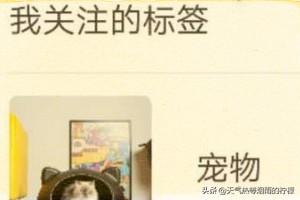 小红书如何修改关注的兴趣标签