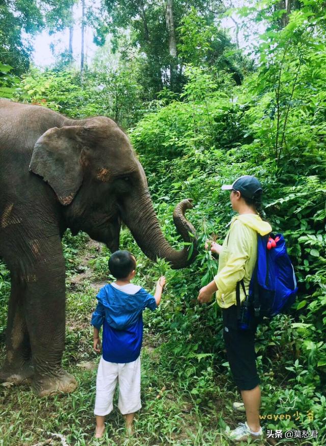 去云南旅游，到当地抱团比较好还是跟团直接去好