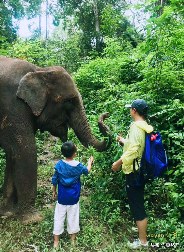 想去云南旅游怎么报团 学生呢,想去云南旅游怎么报团 学生呢英语