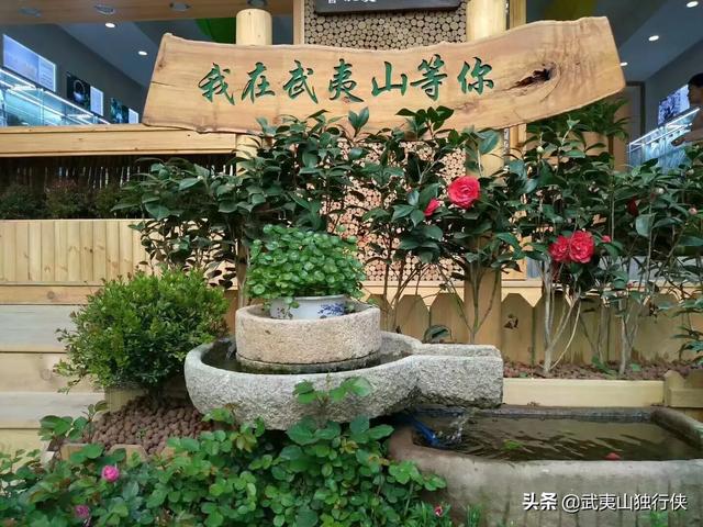 一个人旅行的注意事项，新手必知 一个人旅行的注意事项,新手必知的是 一个人去旅行需要具备什么条件？注意些什么