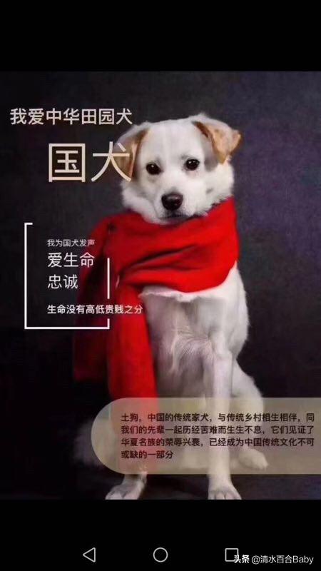 主人不让吃狗肉怎么办(图2)