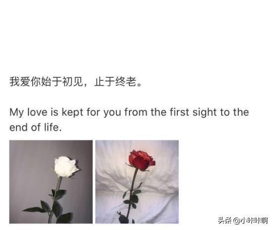 始于初见,止于终老什么意思