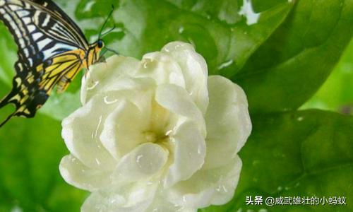 蒙版的作用ps蒙版的作用