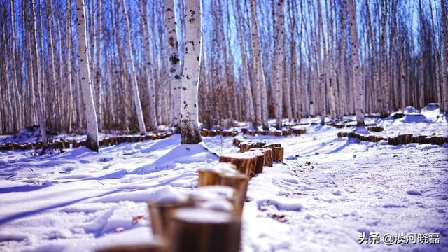 漠河必去的景点推荐理由(图5)
