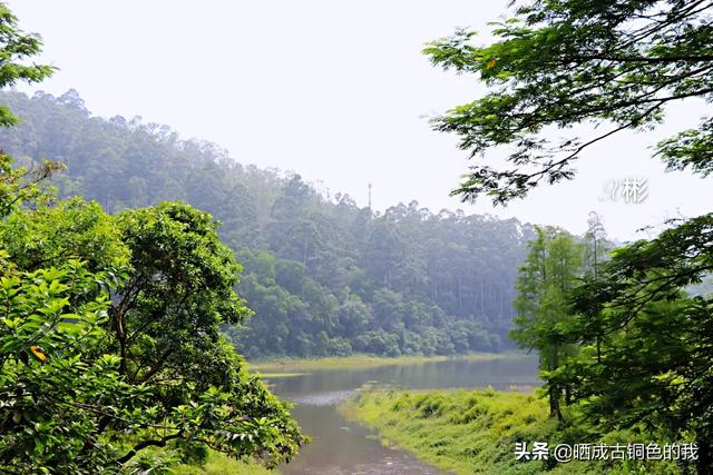 定焦镜头定焦镜头和变焦镜头的区别