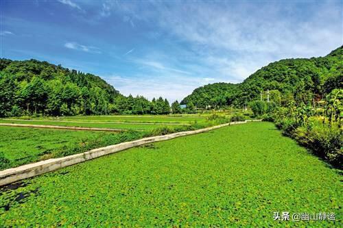 国家农村怎么改善居住(图10)