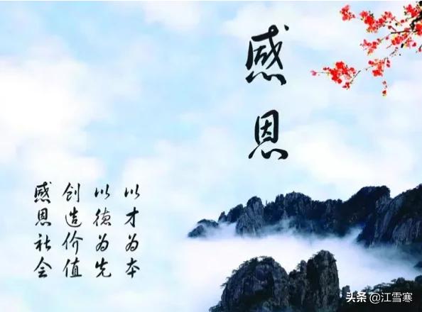 柏葉怎么寫句，柏樹葉怎么寫