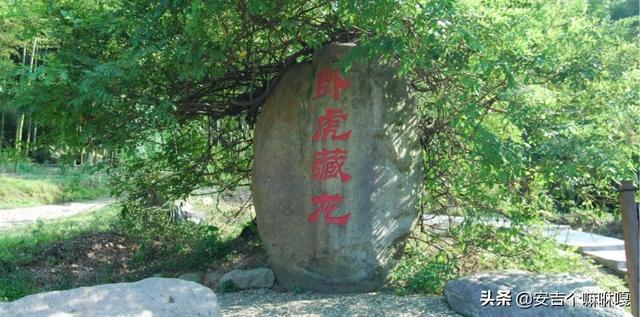 安吉白茶小篆字体