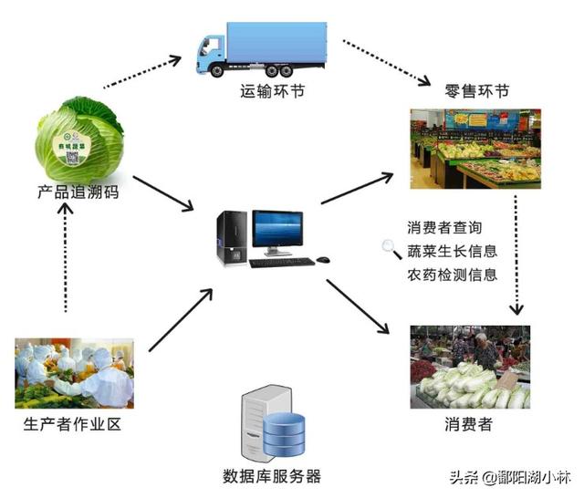 我在origin上激活了孤岛危机2但没有游戏中的序号怎么解决？什么是能追溯的农产品，追溯和不追溯有什么区别吗？