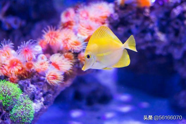 合肥什么地方最适合带小孩玩？