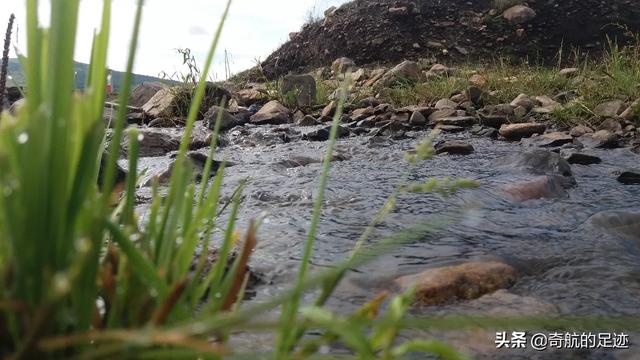 浙江省丽水市松阳县纸飞机账号购买经验