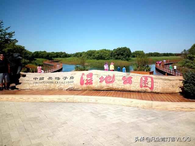 七台河市桃山区纸飞机账号购买渠道