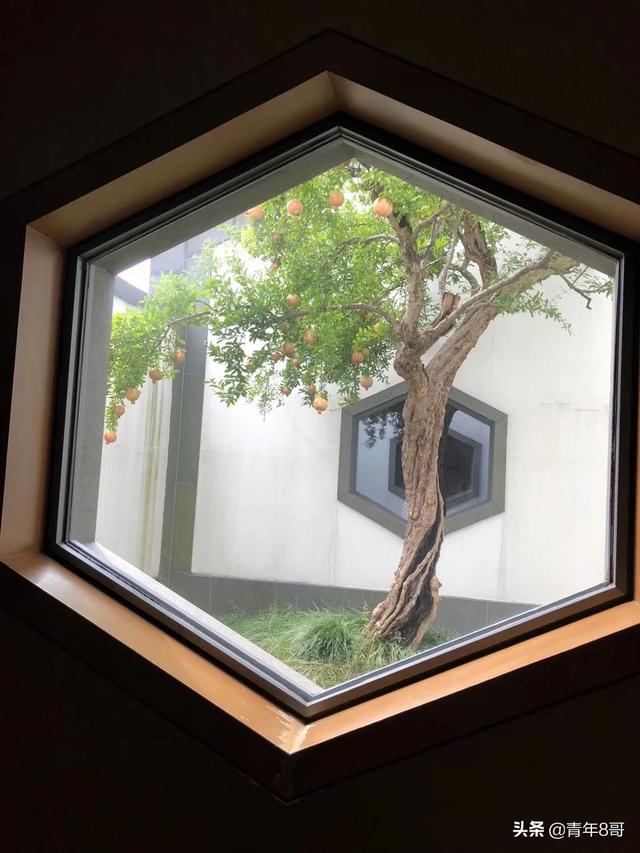 过目不忘的记忆秘诀_过目不忘的记忆秘诀成都