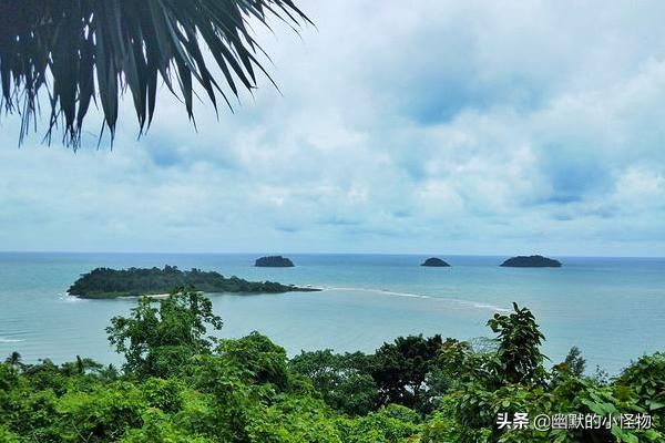 最新车船税标准是多少 山东车船税收费标准2021？