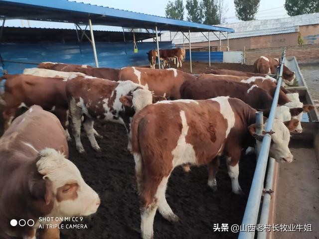 云南丽江市古城区采摘口碑好的农家乐挑选一家最合适的推荐下,丽江环境好的农家乐