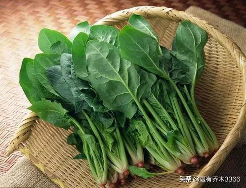 小孩身高长的慢怎么办(图2)