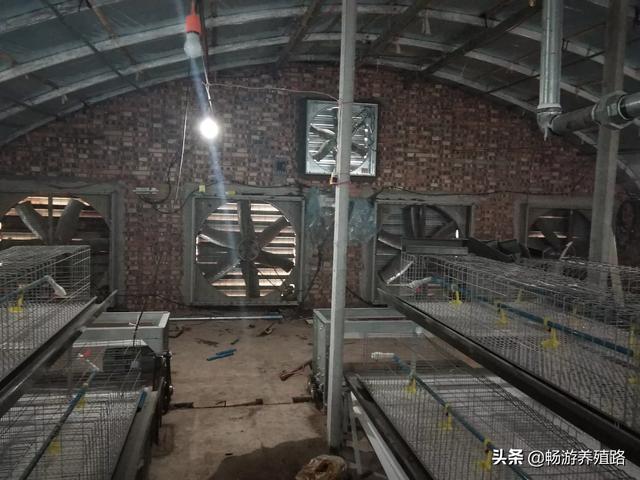30种菜的做法大全视频(图10)