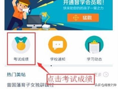 学生成绩网上怎么查，学生成绩网上怎么查中考成绩