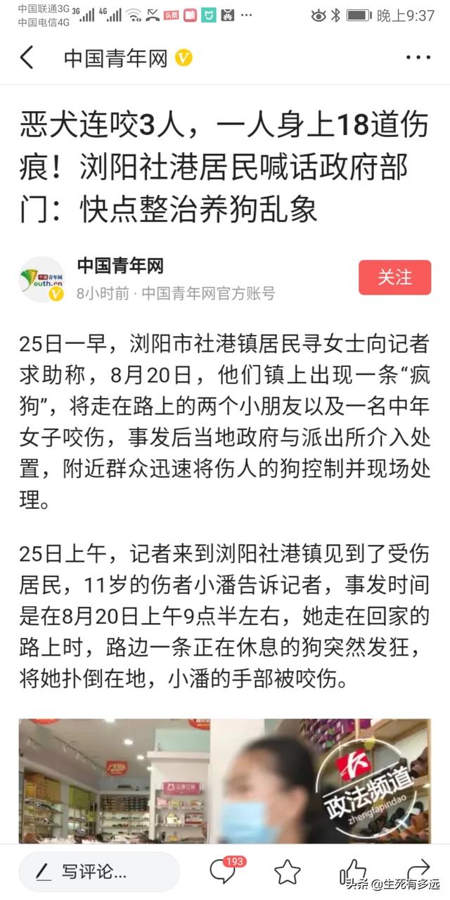 什么动物对人类更友好,第4张