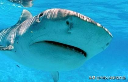 亚马逊隐世部落现身河边