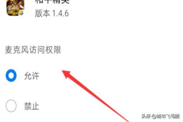 吃鸡怎么开启网络权限(图6)