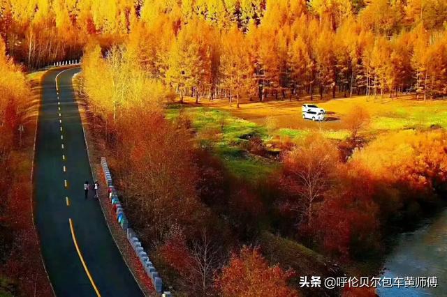 呼伦贝尔市海拉尔区纸飞机账号购买建议