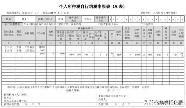 国家税务局网：了解新政策，轻松理清个人所得税申报步骤！，个人所得税务怎么申报