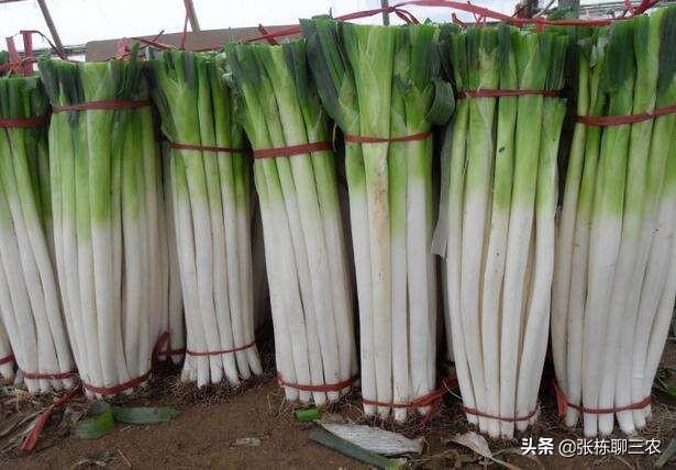 济南市有什么土特产吗