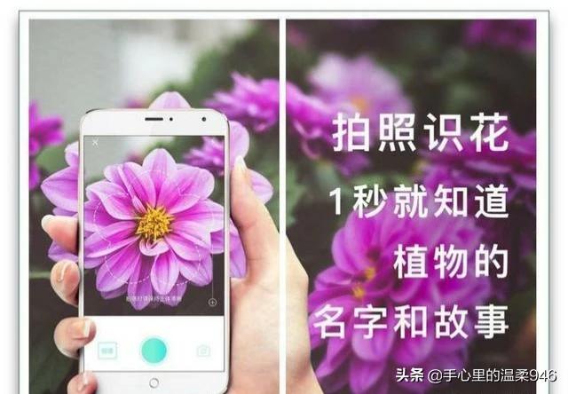 坏坏漫画免费全集，坏漫漫app下载